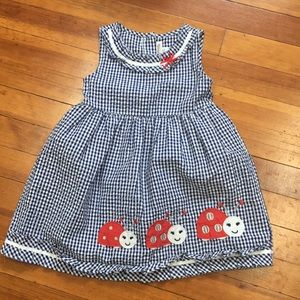 Adorable ladybug gingham dress